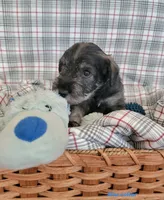 processed/0e7951be-f48f-48eb-8e78-aa723a31586e/listing/6d543650-01c7-41c2-8706-b8517e474c5a/1ec8d1b8-322b-439b-b38b-92fbf5b08785