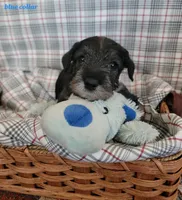 processed/0e7951be-f48f-48eb-8e78-aa723a31586e/listing/6d543650-01c7-41c2-8706-b8517e474c5a/a51d4fa0-df36-48ac-8fc2-9d101cd89b03