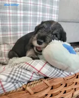 processed/0e7951be-f48f-48eb-8e78-aa723a31586e/listing/6d543650-01c7-41c2-8706-b8517e474c5a/de53549d-9f02-4e30-abf4-037f090d091a