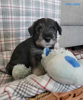 processed/0e7951be-f48f-48eb-8e78-aa723a31586e/listing/6d543650-01c7-41c2-8706-b8517e474c5a/f96433bb-0abb-4693-af40-e541e7d42bad