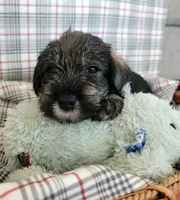 processed/0e7951be-f48f-48eb-8e78-aa723a31586e/listing/ad79fcd5-241d-4bb0-8956-888dfac01bd6/2a8fa112-c7b0-4182-abd1-92f9f85ea970