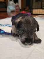 processed/0e7951be-f48f-48eb-8e78-aa723a31586e/listing/ad79fcd5-241d-4bb0-8956-888dfac01bd6/7f0b2aaf-dfca-428c-ae03-e2ff91917471