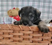 processed/0e7951be-f48f-48eb-8e78-aa723a31586e/listing/e91632d0-9c49-400b-aaa2-9253e37b92e3/77b02534-e8ea-40f0-8464-96e93c0c6211