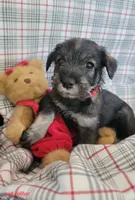 processed/0e7951be-f48f-48eb-8e78-aa723a31586e/listing/e91632d0-9c49-400b-aaa2-9253e37b92e3/89f5a90d-9282-413c-af39-1279a97bb21b