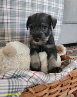 processed/0e7951be-f48f-48eb-8e78-aa723a31586e/listing/efc4a685-a17c-4316-a4c2-b6e49cec1e57/38203adb-115f-4041-882a-a4d436f71b55