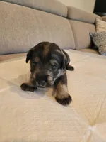 processed/0e7951be-f48f-48eb-8e78-aa723a31586e/listing/efc4a685-a17c-4316-a4c2-b6e49cec1e57/f9afc6b0-2aa7-4e17-b01c-cb5188438812