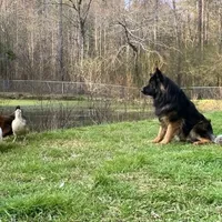 processed/0e88ce62-3287-45d2-94f9-3134379e1c89/facility/25767d64-237b-4cee-a479-dd759470348d