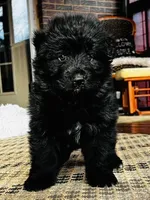 processed/0e88ce62-3287-45d2-94f9-3134379e1c89/listing/f1229554-fd23-4388-b5f7-c4f92ca2321e/4800cb3c-8514-4673-84e0-fb012c384851