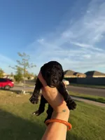 processed/0e8bbf80-bb2f-42f7-a0fb-da9be0989c92/listing/306ec05b-22b6-4b12-a59a-2d6fa21e471a/5a0769d7-c835-48b9-9acb-d5a8c712fc65