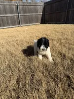 processed/0e8bbf80-bb2f-42f7-a0fb-da9be0989c92/listing/7fbd6e98-7035-45f8-8630-439ad75010b1/0596613a-7ac5-49df-b8b9-e938eb7e4809