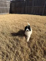 processed/0e8bbf80-bb2f-42f7-a0fb-da9be0989c92/listing/7fbd6e98-7035-45f8-8630-439ad75010b1/32ef0059-ab49-40fb-b994-f8b53237bf3f