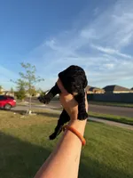 processed/0e8bbf80-bb2f-42f7-a0fb-da9be0989c92/listing/8f7d78c3-af2f-4b85-b3f7-a3244b952c33/b1f168a9-6242-464a-80a6-3cbc33db1fe6