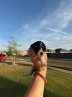 processed/0e8bbf80-bb2f-42f7-a0fb-da9be0989c92/listing/b37ccf20-90cc-4237-857f-6417c80823fe/486e67e1-12aa-49be-9c52-a01127fa9cb8