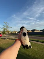 processed/0e8bbf80-bb2f-42f7-a0fb-da9be0989c92/listing/b37ccf20-90cc-4237-857f-6417c80823fe/62980765-dc25-4a09-93a3-ed4f95efe4d0