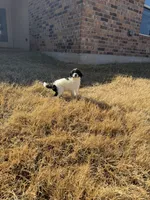 processed/0e8bbf80-bb2f-42f7-a0fb-da9be0989c92/listing/b37ccf20-90cc-4237-857f-6417c80823fe/e18a0eba-908e-491a-9157-1d096b3461c2