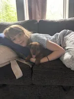 Wilhemina, a female Irish Terrier for sale in Sanford, NC – 4 of 9