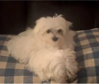 processed/0e97c43b-a951-4572-9c18-82e8ef789b1d/listing/90ae8585-9adc-4915-8769-c7c768873398/210ea769-f49d-4dd3-a93e-30abd3ccc11b