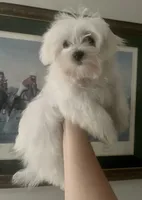 processed/0e97c43b-a951-4572-9c18-82e8ef789b1d/listing/90ae8585-9adc-4915-8769-c7c768873398/3e0e6218-49b8-4359-b2a5-79fba09ba0d7