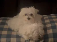 processed/0e97c43b-a951-4572-9c18-82e8ef789b1d/listing/90ae8585-9adc-4915-8769-c7c768873398/5c18cfc7-6c62-4132-aacf-75b11b9df485