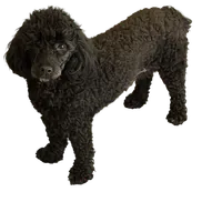 processed/0ea17af6-87e2-46c9-9520-89f1463a3f95/facility/a9c4d4e0-212c-45b8-8904-b1adeb367fd4