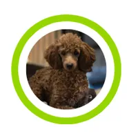 processed/0ea17af6-87e2-46c9-9520-89f1463a3f95/facility/ddddeb09-d907-4db9-9068-0ffe62087f45