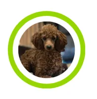 processed/0ea17af6-87e2-46c9-9520-89f1463a3f95/facility/ddddeb09-d907-4db9-9068-0ffe62087f45