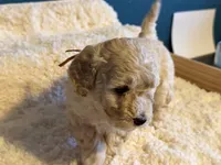 processed/0ea17af6-87e2-46c9-9520-89f1463a3f95/listing/6226cacd-d099-41cf-972e-5423f8c22d37/496b813a-ae08-41e5-a37e-e979d3e04160