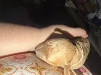 processed/0ea17af6-87e2-46c9-9520-89f1463a3f95/listing/8fb27526-9de6-4217-822c-42fcb6b21be4/34e845e7-b774-4641-a2d1-704f95321b50