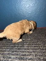 processed/0ea17af6-87e2-46c9-9520-89f1463a3f95/listing/8fb27526-9de6-4217-822c-42fcb6b21be4/3dad5fd1-37e4-4bc8-be3b-169d4442cbd5