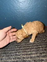 processed/0ea17af6-87e2-46c9-9520-89f1463a3f95/listing/8fb27526-9de6-4217-822c-42fcb6b21be4/55f9b75c-68dd-4c9c-8ca7-e65ba69983b1