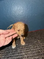 processed/0ea17af6-87e2-46c9-9520-89f1463a3f95/listing/8fb27526-9de6-4217-822c-42fcb6b21be4/a0a28e93-b991-4679-9760-3f9967b3a658