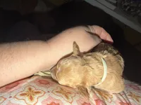 processed/0ea17af6-87e2-46c9-9520-89f1463a3f95/listing/8fb27526-9de6-4217-822c-42fcb6b21be4/aa4326ec-acb1-4254-a9f4-094e35d67d9d