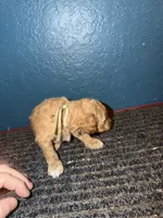 processed/0ea17af6-87e2-46c9-9520-89f1463a3f95/listing/8fb27526-9de6-4217-822c-42fcb6b21be4/f862e8be-70d5-4ad3-aeb9-4a6e0847ceb8