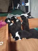 processed/0ea25930-5766-4ccc-8117-b07587b45a42/facility/e0030abc-b694-4b59-8b8c-579db9b1b258