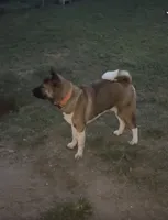 processed/0ea30f6e-662e-4a3a-85dc-47abc236dec6/facility/d3e845a3-cb00-441f-9304-cca0c3c3519a