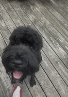 processed/0eacce38-55d1-4a0d-8846-b16cdba17897/listing/b96da68e-90a2-4e60-a5b2-4447c5604e23/a344f80b-6ccd-451a-b362-84b106d399b1