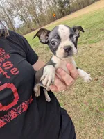 processed/0eb9aa89-e263-4c8d-ac75-bfbdc6cdd342/listing/0cd41dcb-dee2-4d2e-9f48-d527b9f89dfc/107de215-017f-4498-bf06-d0511bacad92