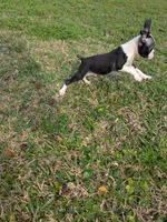 processed/0eb9aa89-e263-4c8d-ac75-bfbdc6cdd342/listing/0cd41dcb-dee2-4d2e-9f48-d527b9f89dfc/906fe488-75a1-462a-9c5a-749b1ac9c562