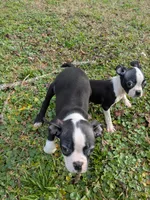 processed/0eb9aa89-e263-4c8d-ac75-bfbdc6cdd342/listing/0cd41dcb-dee2-4d2e-9f48-d527b9f89dfc/91d3a24d-5c50-425a-982b-939ba1038cec