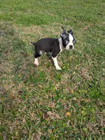 processed/0eb9aa89-e263-4c8d-ac75-bfbdc6cdd342/listing/0cd41dcb-dee2-4d2e-9f48-d527b9f89dfc/e9594f9c-3fe2-4fdc-b08d-73bea339e5a5