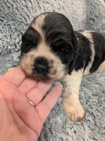 processed/0eb9aa89-e263-4c8d-ac75-bfbdc6cdd342/listing/62b57224-b5e5-48bb-b3af-096656b8ca7c/466c5683-7da9-4bfc-a4a3-28185a5fb7df