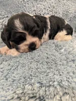 processed/0eb9aa89-e263-4c8d-ac75-bfbdc6cdd342/listing/62b57224-b5e5-48bb-b3af-096656b8ca7c/7a1d52d9-d64e-4f23-bd89-81e15dfcda18