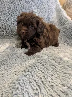 processed/0eb9aa89-e263-4c8d-ac75-bfbdc6cdd342/listing/869503e3-b73f-4119-bf6c-cc0b8e699aba/569de2bb-efe9-4b56-aa7b-d7744f1020a6