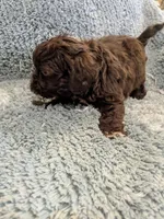 processed/0eb9aa89-e263-4c8d-ac75-bfbdc6cdd342/listing/869503e3-b73f-4119-bf6c-cc0b8e699aba/8a5d69c5-56b4-4167-b38e-5959ee3d9357