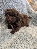 processed/0eb9aa89-e263-4c8d-ac75-bfbdc6cdd342/listing/869503e3-b73f-4119-bf6c-cc0b8e699aba/d9160420-42c1-4c67-8f4a-5881f9179ea2