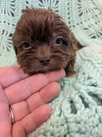 processed/0eb9aa89-e263-4c8d-ac75-bfbdc6cdd342/listing/adb29fec-eb8f-421f-8fa2-8ccb656cc56f/4770369e-7e3d-4460-9eb4-94053c615d81