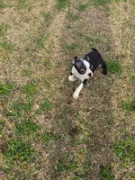 processed/0eb9aa89-e263-4c8d-ac75-bfbdc6cdd342/listing/c3f13e05-2e3f-431e-b316-76dba54444fd/2a6c077f-0d11-4a91-a4da-c5f828184bb6