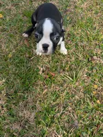 processed/0eb9aa89-e263-4c8d-ac75-bfbdc6cdd342/listing/c3f13e05-2e3f-431e-b316-76dba54444fd/9eb0bbc0-6bbe-47dc-99b4-8f229d6a4e36