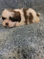 processed/0eb9aa89-e263-4c8d-ac75-bfbdc6cdd342/listing/e274640b-2370-46fe-8fdc-f13797f66103/41f2cbec-6d67-489f-9c49-8da4f638bc1a