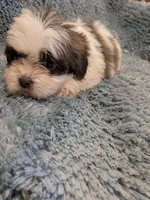 processed/0eb9aa89-e263-4c8d-ac75-bfbdc6cdd342/listing/e274640b-2370-46fe-8fdc-f13797f66103/566505d7-76c8-49b7-96e8-f8378d592b4e